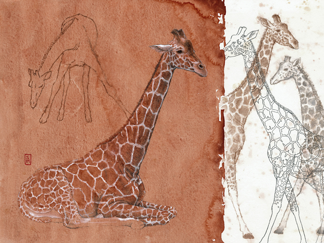 giraf-web